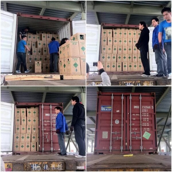 Refrigerant Gas R407c in Disposable Cylinder - Image 5